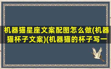 机器猫星座文案配图怎么做(机器猫杯子文案)(机器猫的杯子写一段有情怀的文案)