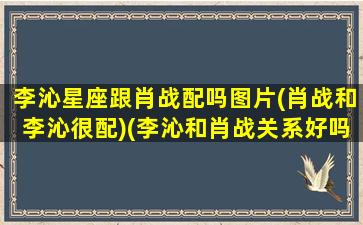 李沁星座跟肖战配吗图片(肖战和李沁很配)(李沁和肖战关系好吗)