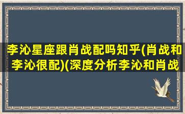 李沁星座跟肖战配吗知乎(肖战和李沁很配)(深度分析李沁和肖战)