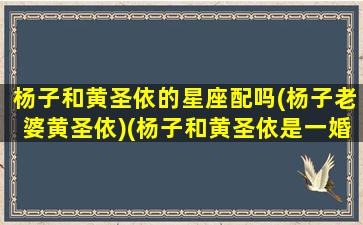 杨子和黄圣依的星座配吗(杨子老婆黄圣依)(杨子和黄圣依是一婚吗)