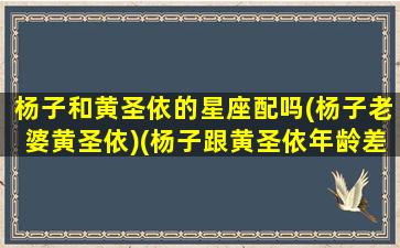 杨子和黄圣依的星座配吗(杨子老婆黄圣依)(杨子跟黄圣依年龄差多少)