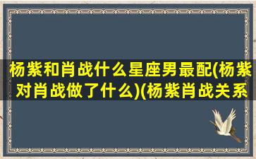 杨紫和肖战什么星座男最配(杨紫对肖战做了什么)(杨紫肖战关系好吗)