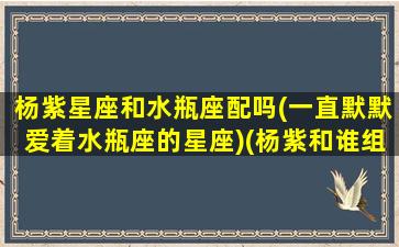 杨紫星座和水瓶座配吗(一直默默爱着水瓶座的星座)(杨紫和谁组cp)