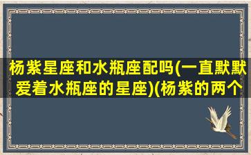 杨紫星座和水瓶座配吗(一直默默爱着水瓶座的星座)(杨紫的两个星座)