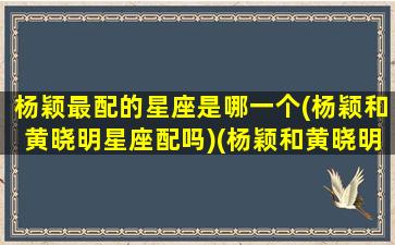 杨颖最配的星座是哪一个(杨颖和黄晓明星座配吗)(杨颖和黄晓明属什么)