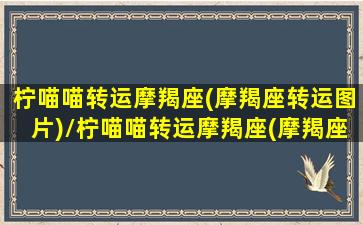 柠喵喵转运摩羯座(摩羯座转运图片)/柠喵喵转运摩羯座(摩羯座转运图片)-我的网站