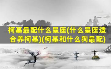 柯基最配什么星座(什么星座适合养柯基)(柯基和什么狗最配)