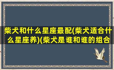 柴犬和什么星座最配(柴犬适合什么星座养)(柴犬是谁和谁的组合)