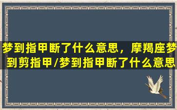 梦到指甲断了什么意思，摩羯座梦到剪指甲/梦到指甲断了什么意思，摩羯座梦到剪指甲-我的网站