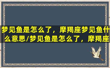 梦见鱼是怎么了，摩羯座梦见鱼什么意思/梦见鱼是怎么了，摩羯座梦见鱼什么意思-我的网站