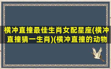 横冲直撞最佳生肖女配星座(横冲直撞猜一生肖)(横冲直撞的动物猜生肖)