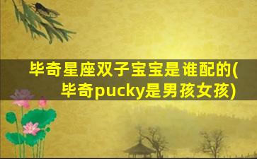 毕奇星座双子宝宝是谁配的(毕奇pucky是男孩女孩)