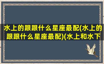 水上的跟跟什么星座最配(水上的跟跟什么星座最配)(水上和水下是什么意思)