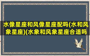 水像星座和风像星座配吗(水和风象星座)(水象和风象星座合适吗)