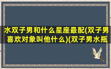 水双子男和什么星座最配(双子男喜欢对象叫他什么)(双子男水瓶女星座配对指数)