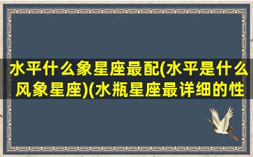 水平什么象星座最配(水平是什么风象星座)(水瓶星座最详细的性格)