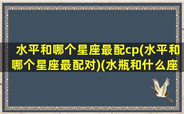 水平和哪个星座最配cp(水平和哪个星座最配对)(水瓶和什么座最配对)