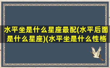 水平坐是什么星座最配(水平后面是什么星座)(水平坐是什么性格)