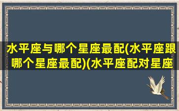 水平座与哪个星座最配(水平座跟哪个星座最配)(水平座配对星座排名)