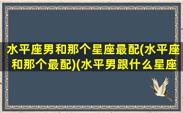 水平座男和那个星座最配(水平座和那个最配)(水平男跟什么星座最配对)