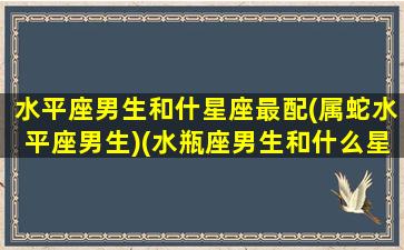 水平座男生和什星座最配(属蛇水平座男生)(水瓶座男生和什么星座男生最配对)