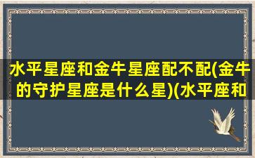 水平星座和金牛星座配不配(金牛的守护星座是什么星)(水平座和金牛座配对指数)