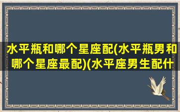 水平瓶和哪个星座配(水平瓶男和哪个星座最配)(水平座男生配什么星座女生)