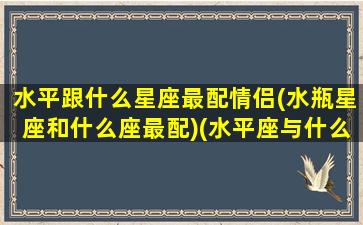 水平跟什么星座最配情侣(水瓶星座和什么座最配)(水平座与什么星座最配)