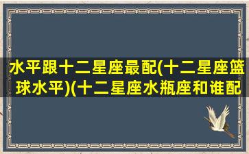 水平跟十二星座最配(十二星座篮球水平)(十二星座水瓶座和谁配)