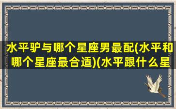 水平驴与哪个星座男最配(水平和哪个星座最合适)(水平跟什么星座最配)