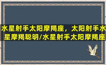 水星射手太阳摩羯座，太阳射手水星摩羯聪明/水星射手太阳摩羯座，太阳射手水星摩羯聪明-我的网站