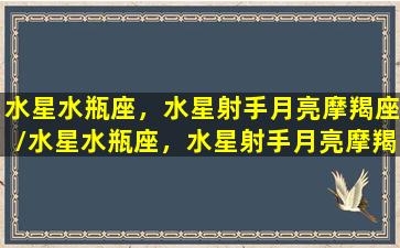 水星水瓶座，水星射手月亮摩羯座/水星水瓶座，水星射手月亮摩羯座-我的网站