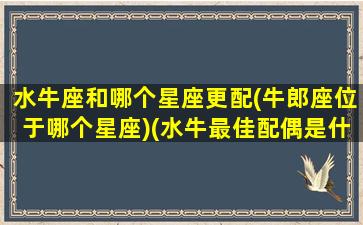 水牛座和哪个星座更配(牛郎座位于哪个星座)(水牛最佳配偶是什么)