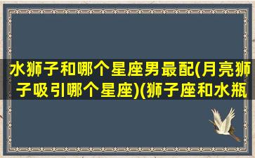 水狮子和哪个星座男最配(月亮狮子吸引哪个星座)(狮子座和水瓶座匹配吗)