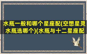 水瓶一般和哪个星座配(空想星灵水瓶选哪个)(水瓶与十二星座配对)