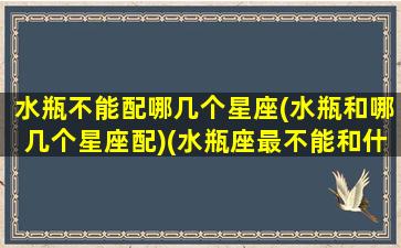 水瓶不能配哪几个星座(水瓶和哪几个星座配)(水瓶座最不能和什么星座在一起)