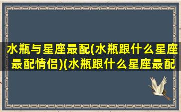 水瓶与星座最配(水瓶跟什么星座最配情侣)(水瓶跟什么星座最配对指数)