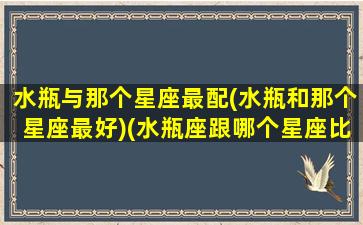 水瓶与那个星座最配(水瓶和那个星座最好)(水瓶座跟哪个星座比较合适)