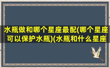 水瓶做和哪个星座最配(哪个星座可以保护水瓶)(水瓶和什么星座最好)