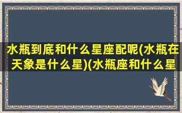 水瓶到底和什么星座配呢(水瓶在天象是什么星)(水瓶座和什么星座天生一对)