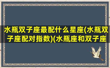 水瓶双子座最配什么星座(水瓶双子座配对指数)(水瓶座和双子座的配对指数是多少)