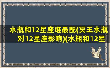 水瓶和12星座谁最配(冥王水瓶对12星座影响)(水瓶和12星座配对指数)