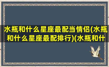 水瓶和什么星座最配当情侣(水瓶和什么星座最配排行)(水瓶和什么星座最配对)