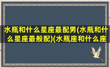 水瓶和什么星座最配男(水瓶和什么星座最般配)(水瓶座和什么座最配对男)