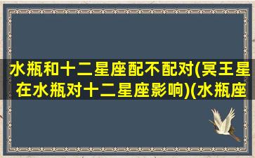 水瓶和十二星座配不配对(冥王星在水瓶对十二星座影响)(水瓶座属于冥王星)