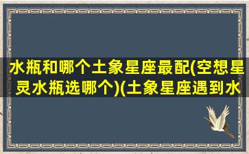 水瓶和哪个土象星座最配(空想星灵水瓶选哪个)(土象星座遇到水瓶)