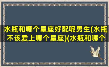 水瓶和哪个星座好配呢男生(水瓶不该爱上哪个星座)(水瓶和哪个星座最搭配)