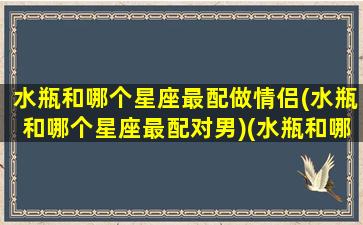 水瓶和哪个星座最配做情侣(水瓶和哪个星座最配对男)(水瓶和哪个星座配对100分)