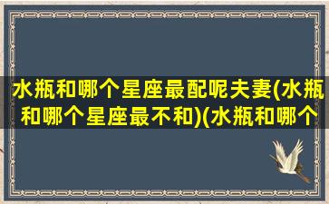 水瓶和哪个星座最配呢夫妻(水瓶和哪个星座最不和)(水瓶和哪个星座最合得来)