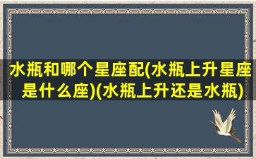 水瓶和哪个星座配(水瓶上升星座是什么座)(水瓶上升还是水瓶)